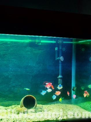 Aquarium Sell